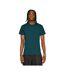 Unisex Adult Supreme Organic Combed T-shirt Deep Teal Casual Classics-1
