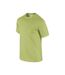 Gildan - T-shirt - Homme (Vert pistache) - UTPC6403