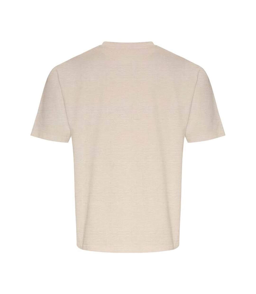 Unisex adult arrow heavy oversized t-shirt stone Ecologie-2