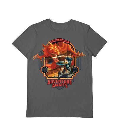 Dungeons & Dragons Unisex Adult Adventure Awaits T-Shirt (Charcoal) - UTPM6222