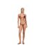 Womens/ladies Cici Seashell Bikini Bottoms Bronze Shell Devon Windsor-2