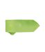 Cravate Homme Taille Unique Vert Citron Premier-2