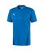 Maillot Teamgoal Homme Bleu Puma-1