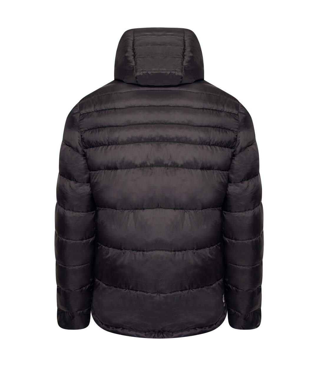 Dare 2B - Doudoune matelassée DRIFTER - Homme (Noir) - UTRG6607