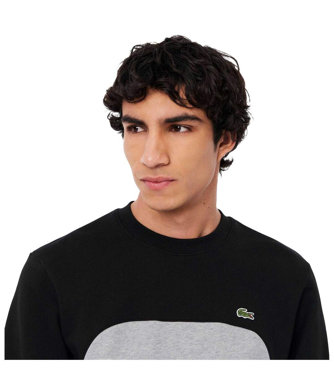Sweat Motif/style Blocs De Couleurs Homme Gris Noir Lacoste-4