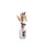 Coffret de Fragrances Paola 24cm Fleur de Lin-2