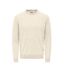 Pull blanc homme only & sons seddy-1
