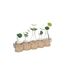 Lot de 5 Soliflores & Tiges Cosy 40cm Beige-1