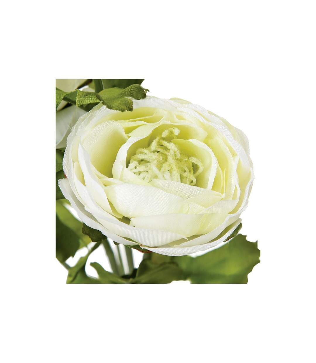 Fleur Artificielle Renoncule 60cm Blanc-3