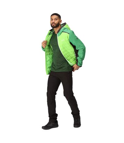 Doudoune Matelassée Trutton Homme Vert Jasmin Vert Des Champs Regatta