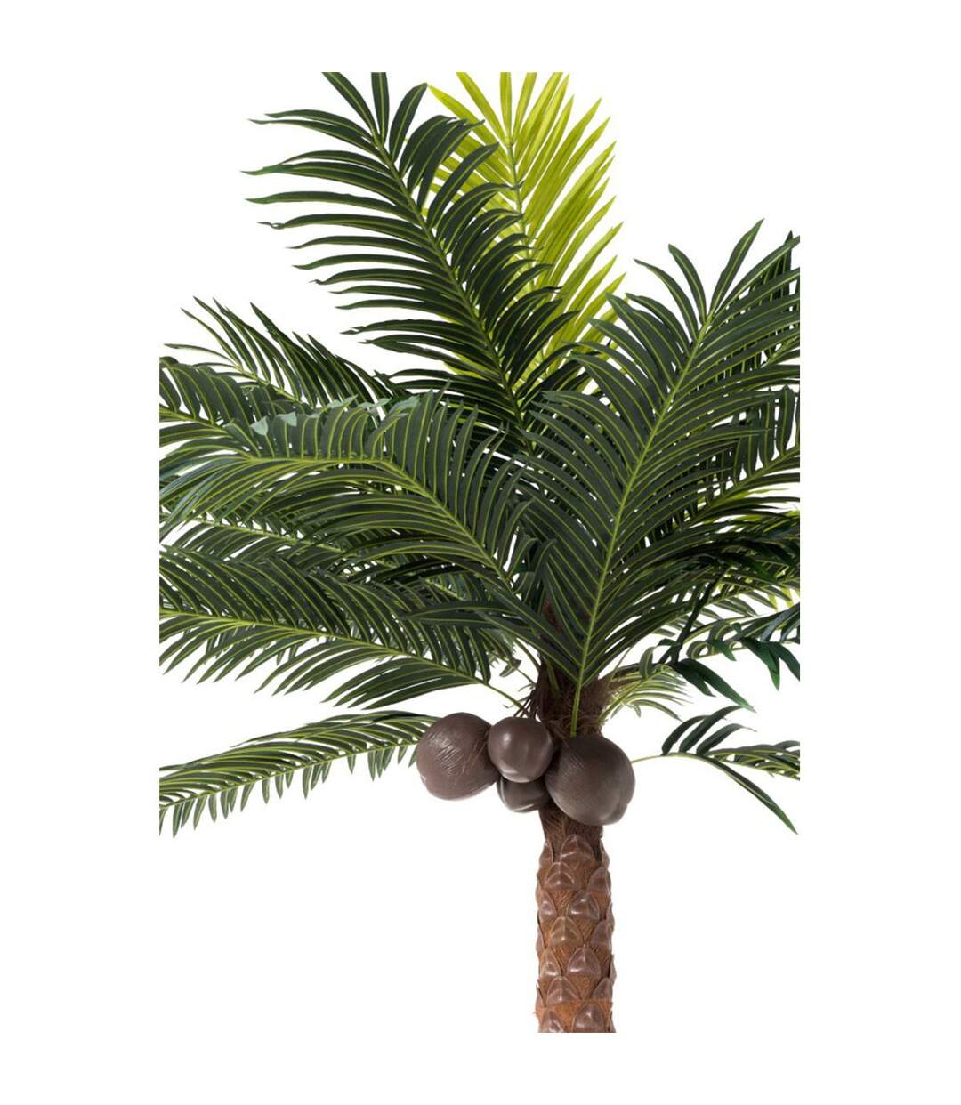 Plante Artificielle Palmier 4 Noix de Coco 350cm Vert-2