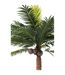 Plante Artificielle Palmier 4 Noix de Coco 350cm Vert-2