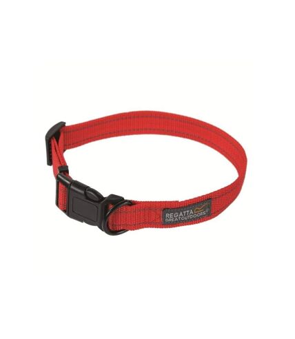 Regatta Comfort Dog Collar (Red) (12-22 Inch)