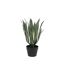 Plante Artificielle Agave Exotic Panama 55cm Vert-1