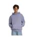 Sweat À Capuche Homme Bleuet Givré Urban Classics-1