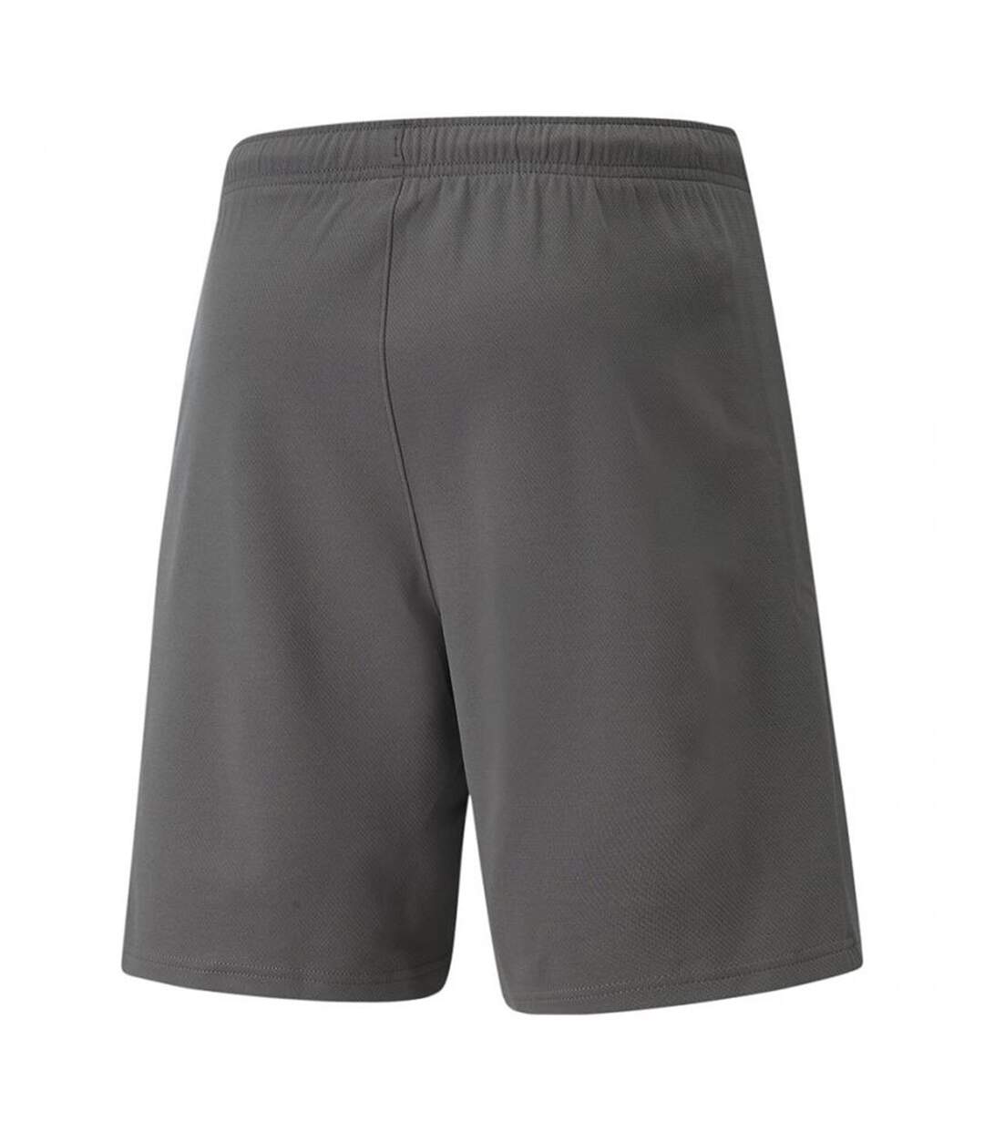 Short Homme Gris Argenté Puma-2