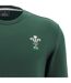 Sweat Adulte Vert Wales RU-3