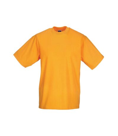 Jerzees Colours Mens Classic Short Sleeve T-Shirt (Pure Gold) - UTBC577