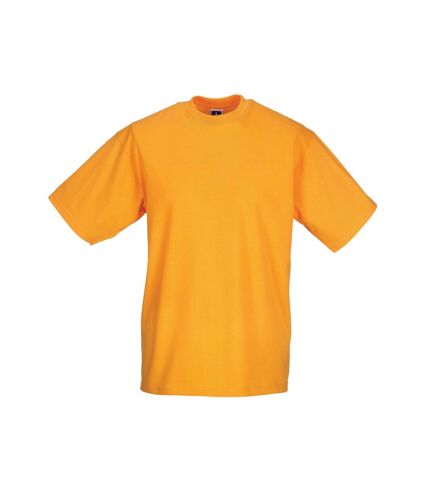 Jerzees Colours Mens Classic Short Sleeve T-Shirt (Yellow)