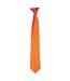 Premier Unisex Adult Satin Tie (Terracotta) (One Size)