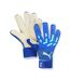 Gants de gardien bleu/vert homme puma pro hybrid - t10-1