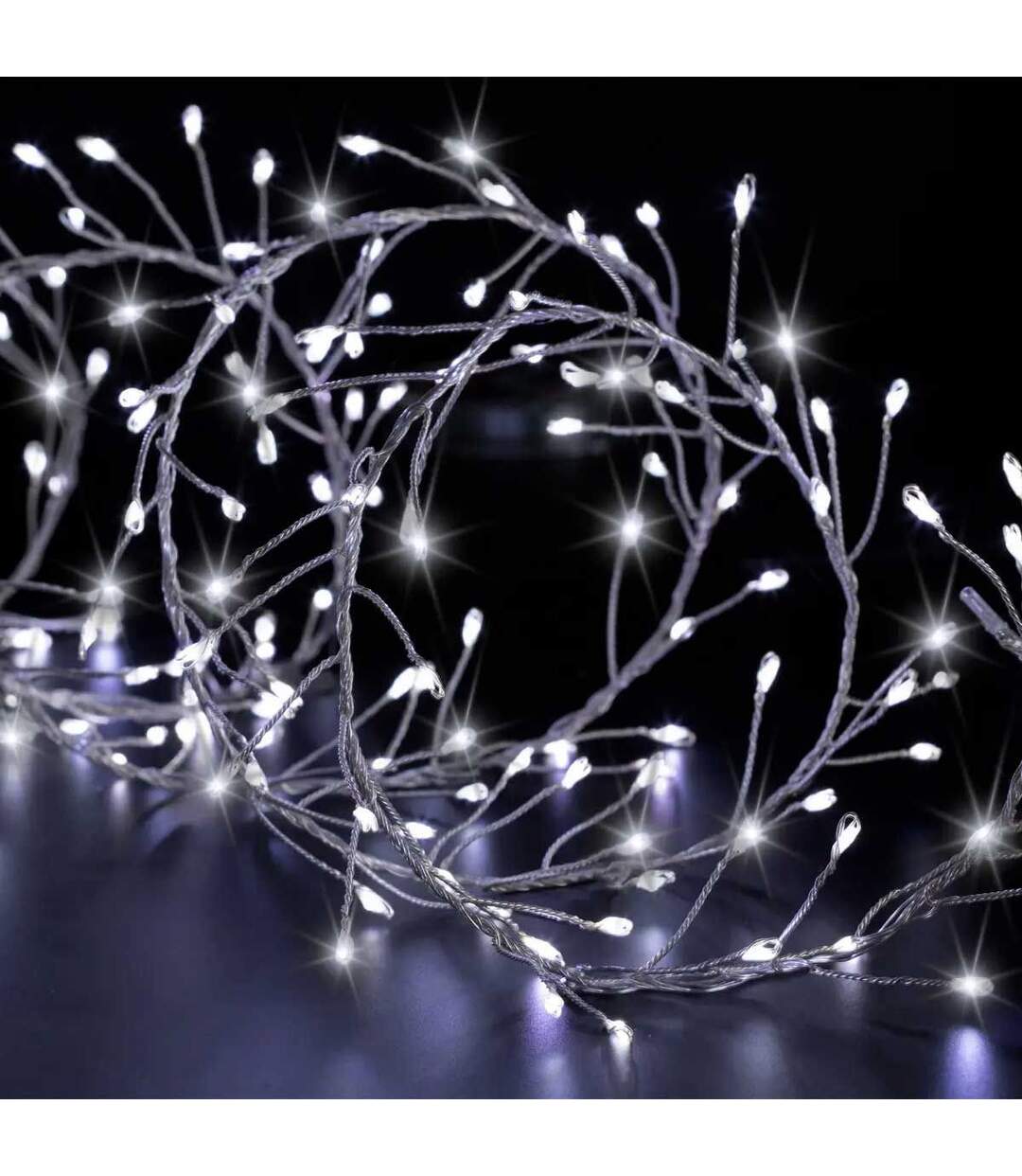 Guirlande Lumineuse Extérieur Boa 2,5m Blanc Froid-1