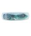 Lunettes De Natation Shark Bleu Crowell-2