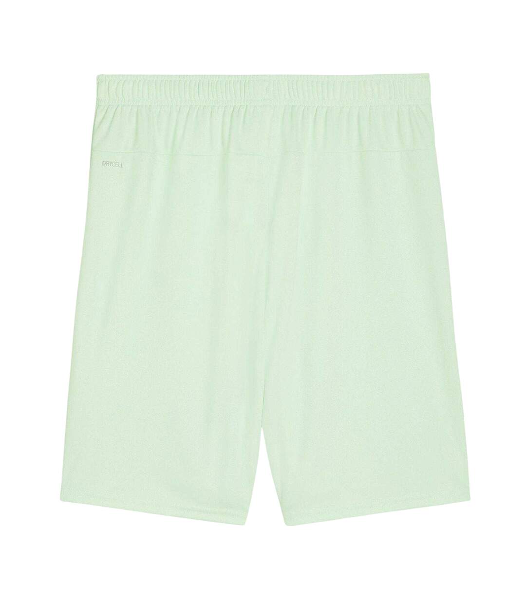 Mens Team Goal Football Shorts Fresh Mint Black Puma-2