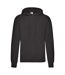 Fruit Of The Loom Unisex Adults Classic Hooded Sweatshirt (Black) - UTRW7512