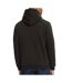 Sweat à Capuche Noir Homme Tommy Hilfiger Linear Gold - L-2