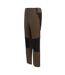 Pantalon De Marche Questra Homme Crocodile Noir Regatta-4