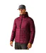 Mens Asper Padded Jacket Dark Maroon Regatta-1