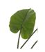 Plante Artificielle Taro Sauvage 123cm Vert-2