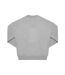 Gris sportif B&C-2