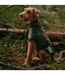 Weatherbeeta - Manteau pour chiens COMFITEC ACTIVE (Noir) (35 cm) - UTWB1986