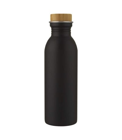 Green Concept Kalix Stainless Steel 21.9floz Sports Bottle (Solid Black) (One Size) - UTPF3857