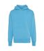 Unisex Adult Yoho Recycled Cotton Relaxed Fit Hoodie Tranquil Blue Iqoniq-2