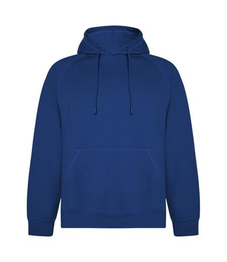 Roly Unisex Adult Vinson Hoodie (Royal Blue)