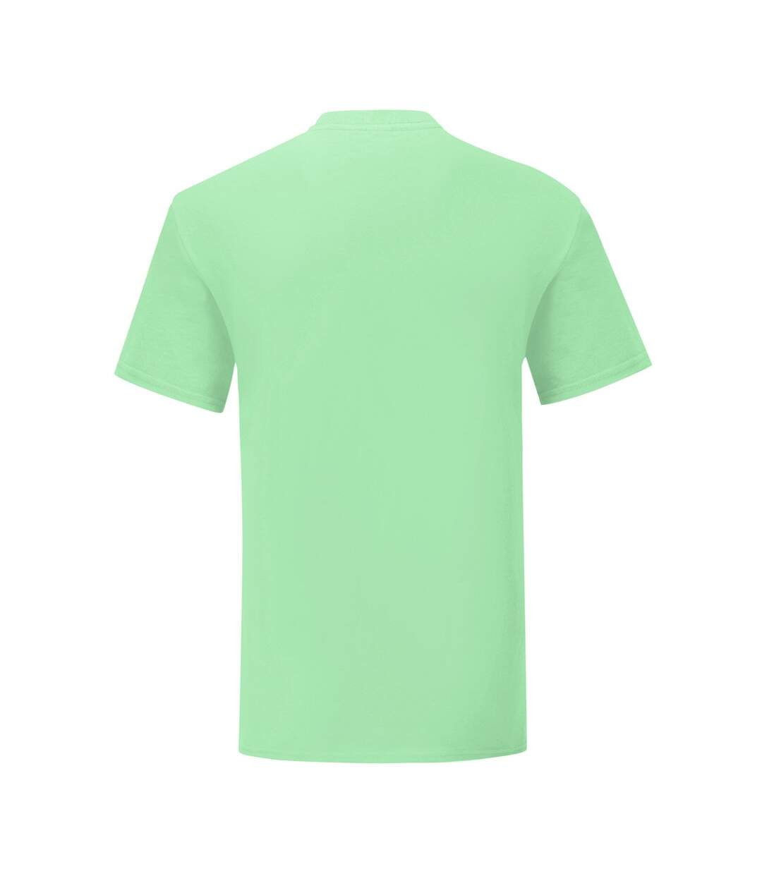 Fruit Of The Loom Mens Iconic T-Shirt (Neo Mint) - UTPC3389