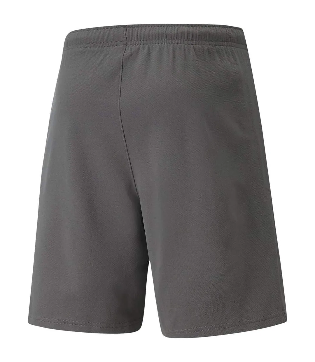 Short De Jogging Teamrise Homme Gris Puma-2