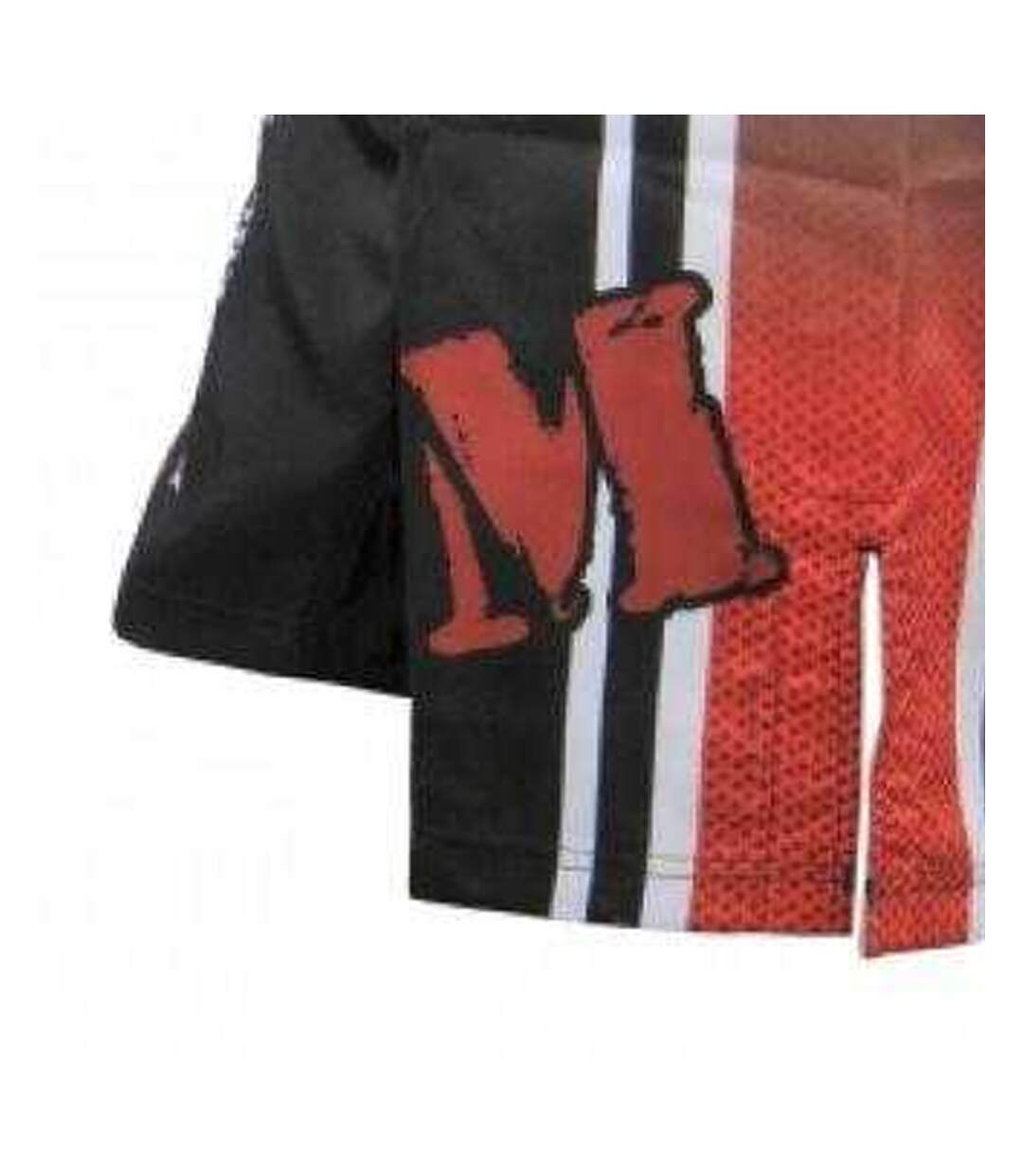 Mens Polyester Martial Arts Fight Shorts Black Masters-4