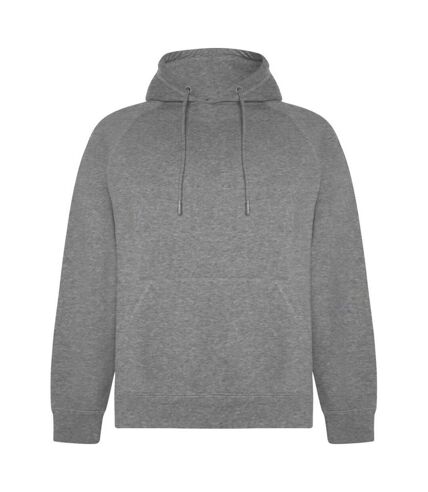 Roly Unisex Adult Vinson Hoodie (Grey Marl) - UTPF4316