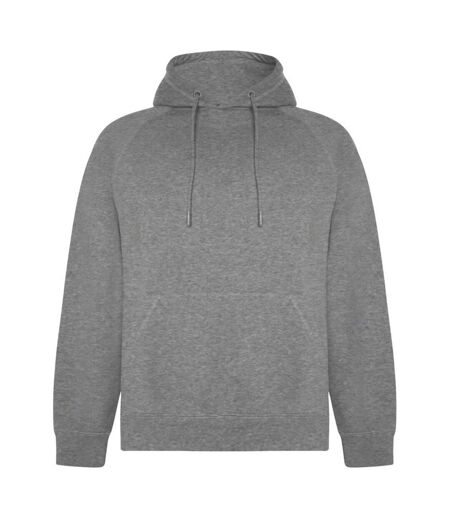 Roly Unisex Adult Vinson Hoodie (Grey Marl) - UTPF4316