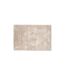 Tapis Déco Walter 240x340cm Beige-1