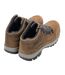 Chaussures Montantes De Marche Bayton Homme Marron Regatta-2