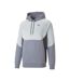 Sweat à Capuche Gris Homme Puma Tech 538270 - XS