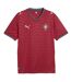Mens Portugal Fc Home Shirt Red Green Puma-1