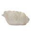 Vase Design Effet Sable Shell 35cm Beige-4