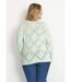 Pull maille moulinée ajourée-2