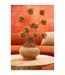 Vase Gourde Corail en Argile Isidro 33cm Ocre-3